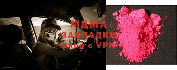 прущие грибы Вязьма