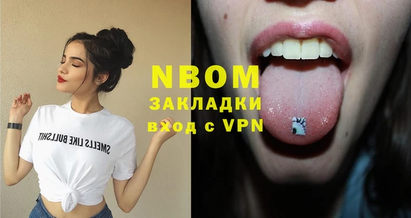 прущие грибы Вязьма