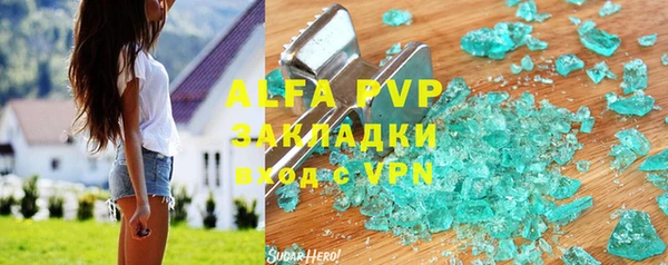 прущие грибы Вязьма