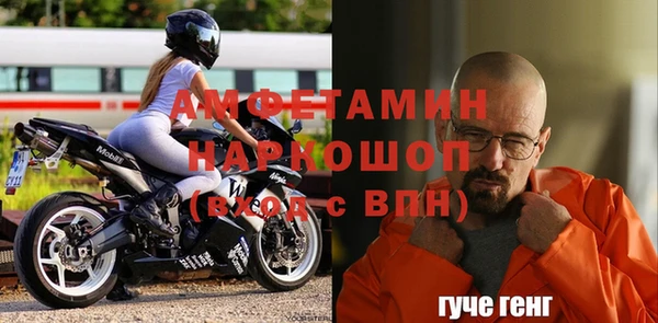 прущие грибы Вязьма