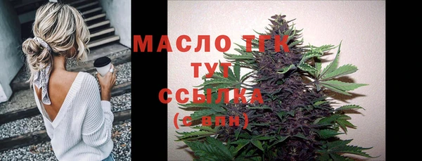 прущие грибы Вязьма
