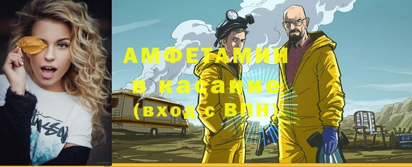 прущие грибы Вязьма
