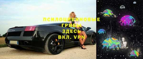 прущие грибы Вязьма