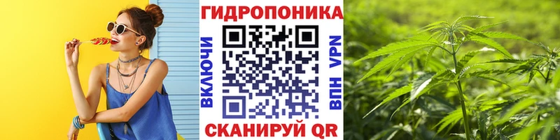 Купить закладки  Северская  МАРИХУАНА MAZAR 